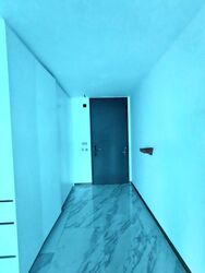 The Landmark (D3), Condominium #511099091